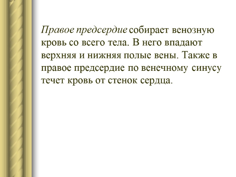 Правое предсердие собирает венозную кровь со всего тела. В него впадают верхняя и нижняя